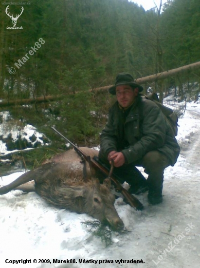 kamarát z jeleňom I.VT.