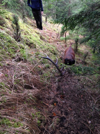Dnešná uprsana prechádzka z mojimi najbližšími