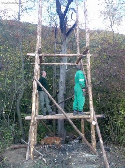 stavba noweho poseda