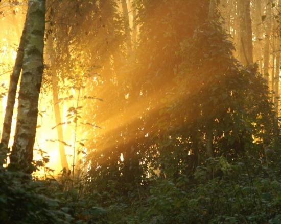 minuloročné jarné ráno