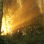 minuloročné jarné ráno