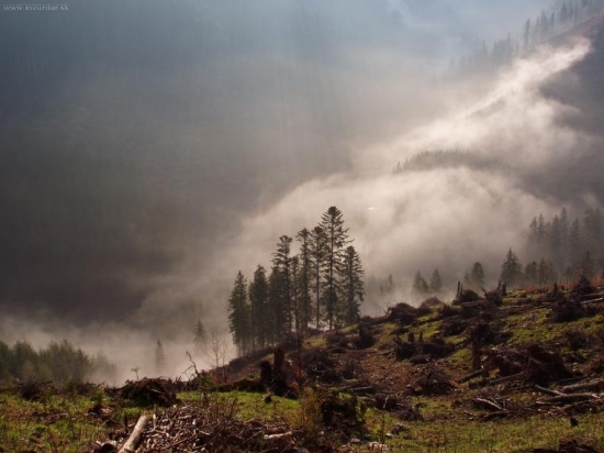 jarne rubanisko v malej fatre