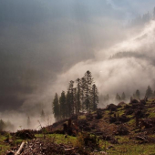 jarne rubanisko v malej fatre