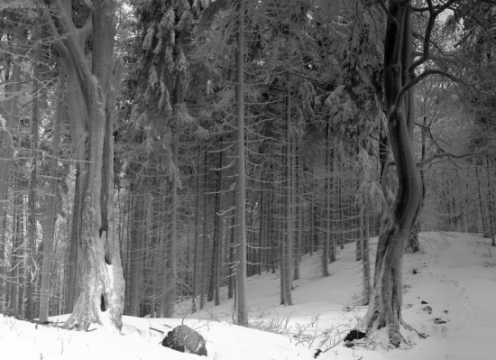 tu troška mrázik pohyril