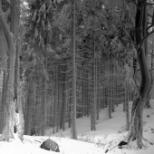 tu troška mrázik pohyril