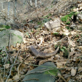 dalsi pod nim ale len torzo