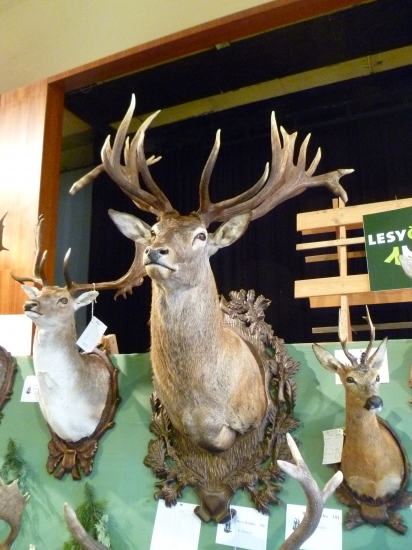 Výstava trofejí Jeseník 2014