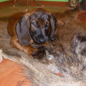 Můj nový svěřenec Ben