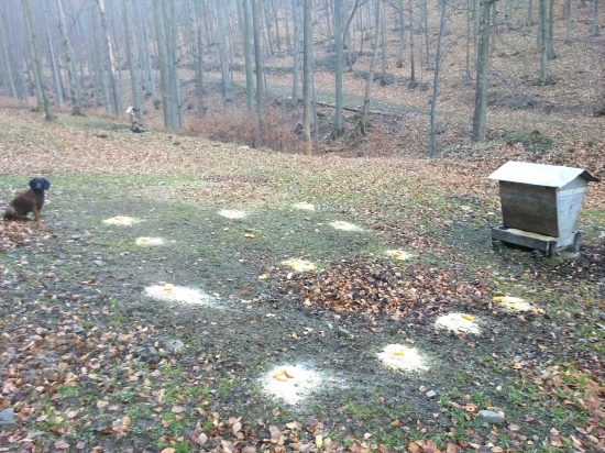 Štědrovečerní večeře