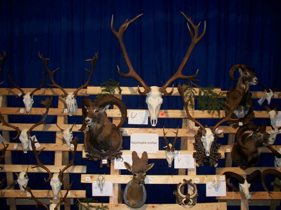 prehliadka trofeji Rgo čadca