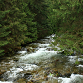 potůček