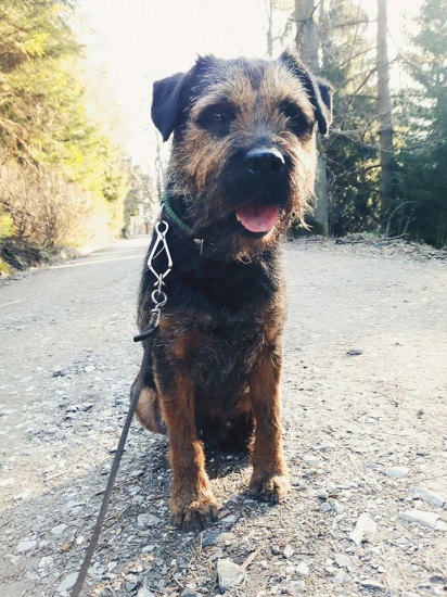 s Čertem  na procházce.