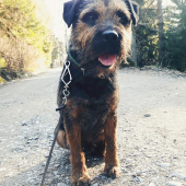 s Čertem  na procházce.