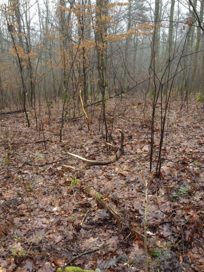 Slušný spiatočnik :)