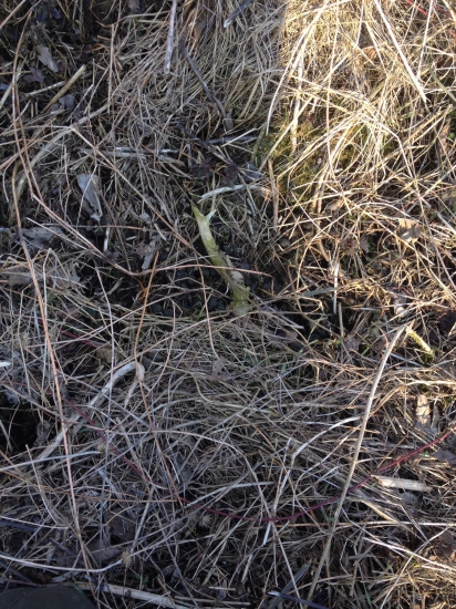 Po dlhých kilometroch potešil :)