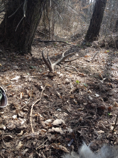 Ďalší krásny spiatočnik :)