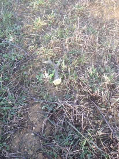 Starší ale potešil :-))