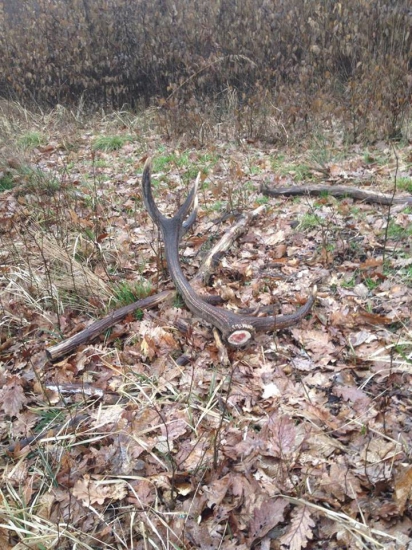 Pohľad na nezaplatenie :)