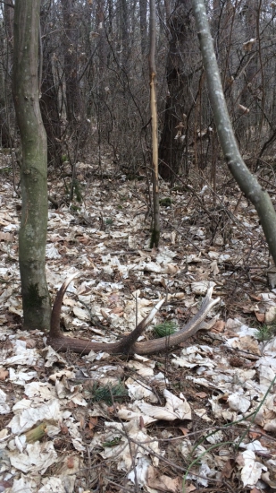Pekne zhodený 10-toračik :)