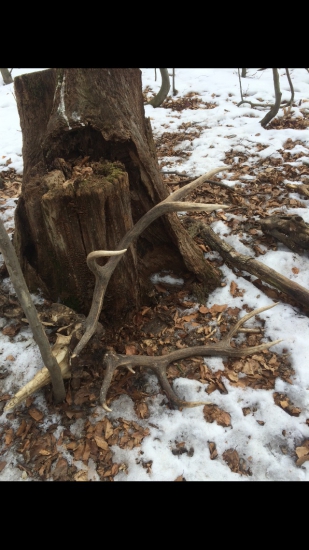 Nepravidelný 12-torak