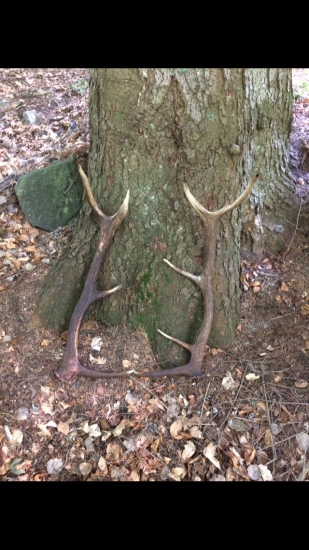 Zahrejú aj keď je horúco