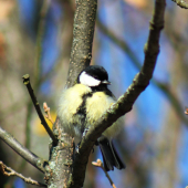 treba sa usušiť :)