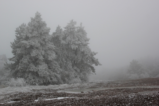 ked už aj fotoaparát ledva ostrý -14°C