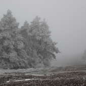 ked už aj fotoaparát ledva ostrý -14°C