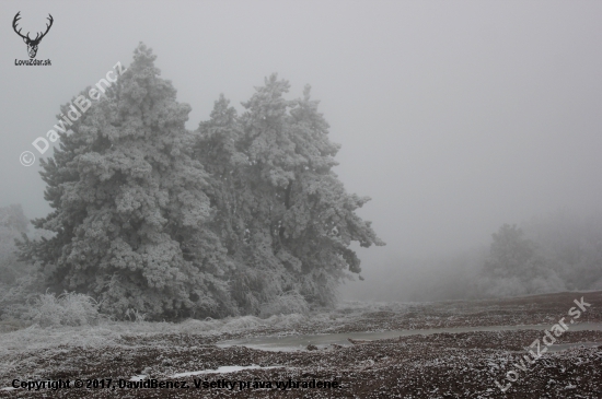 ked už aj fotoaparát ledva ostrý -14°C