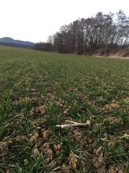 Dnešný zhod do páru