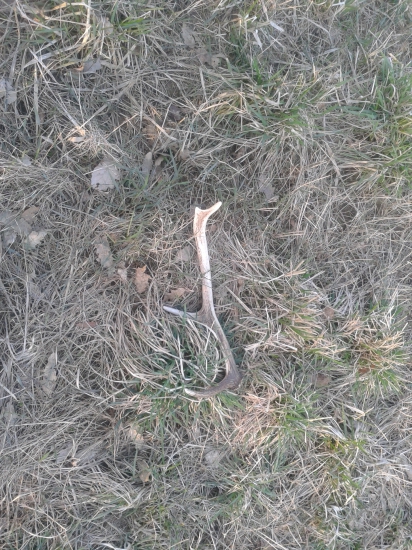 ešte z minulého roka