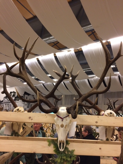 Zlatý z chov. prehl. Košice, Košice-okolie