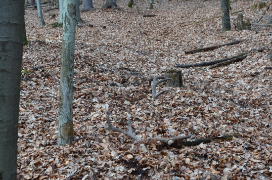 zadarilo sa, konečne čerstvé