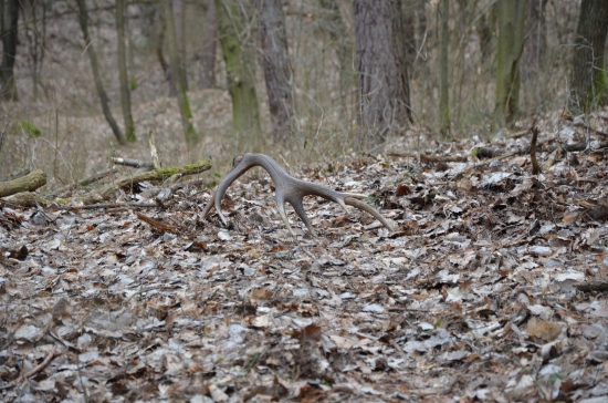 dnes ráno, krásny pohlad