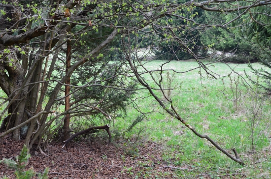 krásne tam čakal...