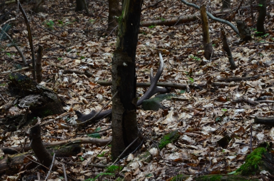 pohľad na nezaplatenie