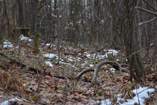 ...spomienky na Marec