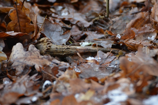 Ten si tam poležal...