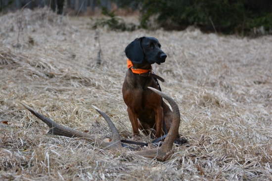 Presne pred rokom...