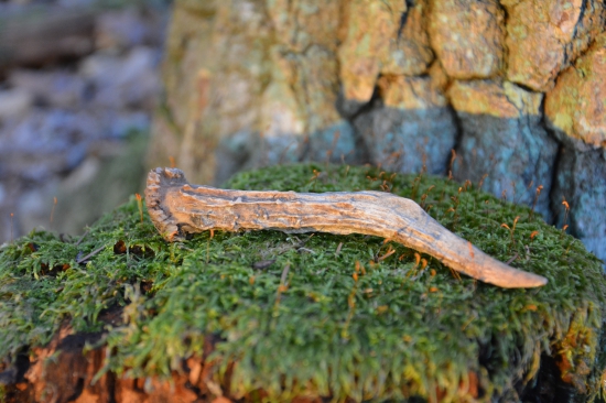 Nález mojej farbiarky