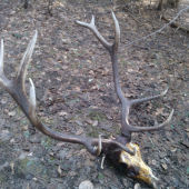 A  ma  to  spočitane