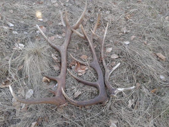 Sobotňajšia prechadzka