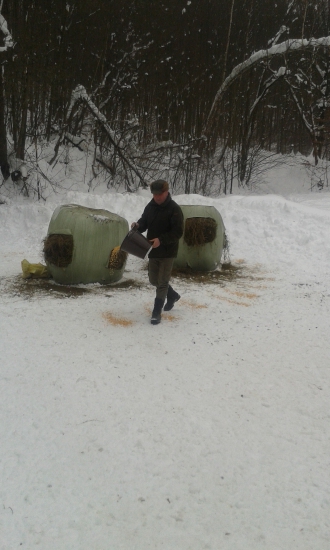 Dnešne prikrmovanie