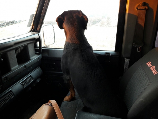 Taká nedočkavost a radosť zas do lesa