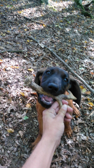 Náš spoločný a prvý zhôd
