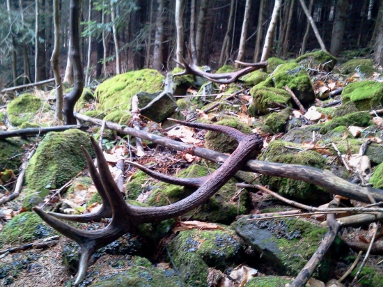 včerajšie štastie