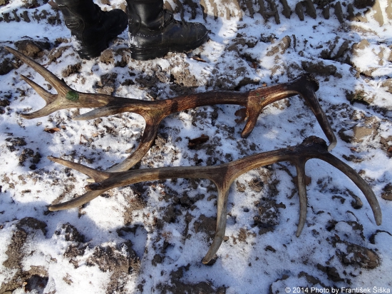 Nájdené na spoločnej poľovačke