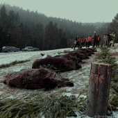 Po včerajšej spoločnej poľovačke