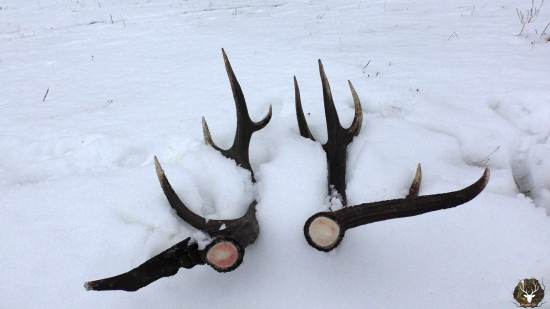 Spomienka na február