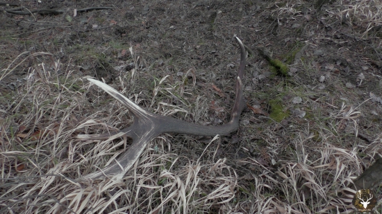 Detail k zhodu s  id 287250